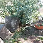 Turismo Rurale Montitundu * 마리나디포르티쏘