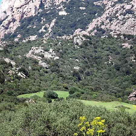 Szálloda Turismo Rurale Montitundu *